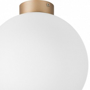 Накладной светильник Lightstar Globo 812033 в Верхней Салде - verhnyaya-salda.mebel24.online | фото 2
