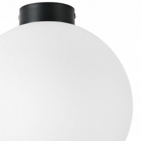 Накладной светильник Lightstar Globo 812037 в Верхней Салде - verhnyaya-salda.mebel24.online | фото 3