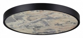 Накладной светильник Odeon Light Bergi 5064/50L в Верхней Салде - verhnyaya-salda.mebel24.online | фото 3