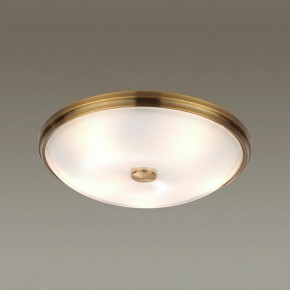 Накладной светильник Odeon Light Pelow 4956/5 в Верхней Салде - verhnyaya-salda.mebel24.online | фото 2