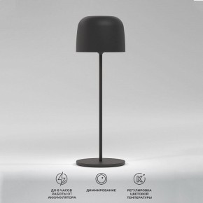 Настольная лампа декоративная Elektrostandard Bitty a069002 в Верхней Салде - verhnyaya-salda.mebel24.online | фото 2