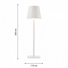 Настольная лампа декоративная F-promo Pyari 4614-1T в Верхней Салде - verhnyaya-salda.mebel24.online | фото 3