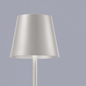 Настольная лампа декоративная F-promo Pyari 4617-1T в Верхней Салде - verhnyaya-salda.mebel24.online | фото 4