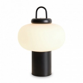 Настольная лампа декоративная Freya Take FR6175TL-L10B в Верхней Салде - verhnyaya-salda.mebel24.online | фото