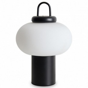 Настольная лампа декоративная Freya Take FR6175TL-L10B в Верхней Салде - verhnyaya-salda.mebel24.online | фото 2
