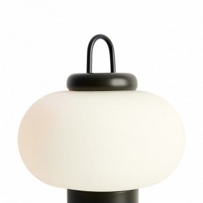 Настольная лампа декоративная Freya Take FR6175TL-L10B в Верхней Салде - verhnyaya-salda.mebel24.online | фото 5
