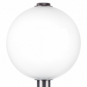 Настольная лампа декоративная Lightstar Colore 805916 в Верхней Салде - verhnyaya-salda.mebel24.online | фото 6
