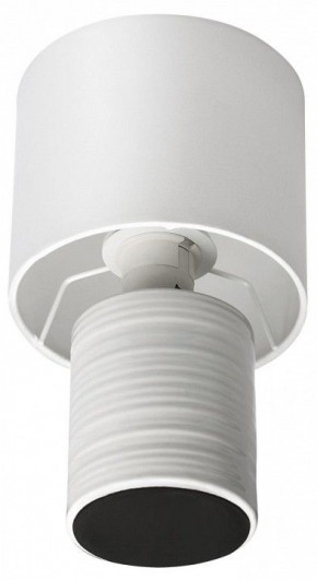 Настольная лампа декоративная Lumion Tuala 8144/1Т в Верхней Салде - verhnyaya-salda.mebel24.online | фото 3