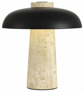 Настольная лампа декоративная ST-Luce Earthy SL1194.424.01 в Верхней Салде - verhnyaya-salda.mebel24.online | фото 3