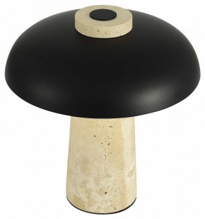 Настольная лампа декоративная ST-Luce Earthy SL1194.424.01 в Верхней Салде - verhnyaya-salda.mebel24.online | фото 5