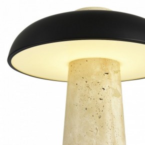 Настольная лампа декоративная ST-Luce Earthy SL1194.424.01 в Верхней Салде - verhnyaya-salda.mebel24.online | фото 6