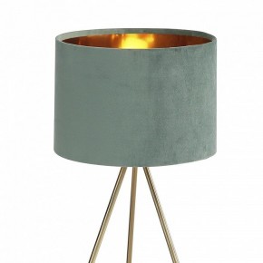 Настольная лампа декоративная ST-Luce FUEGO SL6242.704.01 в Верхней Салде - verhnyaya-salda.mebel24.online | фото 5