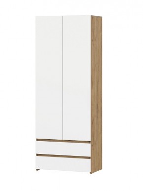 НЕКСТ 1 Шкаф двухстворчатый с ящиками в Верхней Салде - verhnyaya-salda.mebel24.online | фото