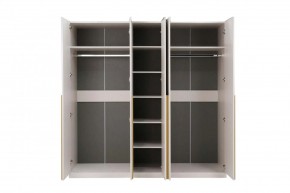 НИКОЛЬ 25 Шкаф 5-ти створчатый в Верхней Салде - verhnyaya-salda.mebel24.online | фото 3