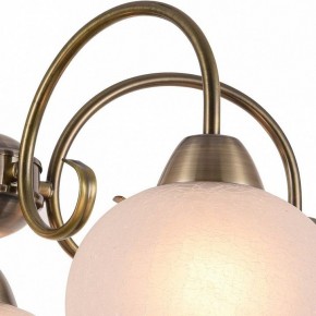 Подвесная люстра Arte Lamp Margo A9317LM-5AB в Верхней Салде - verhnyaya-salda.mebel24.online | фото 3