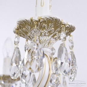 Подвесная люстра Bohemia Ivele Crystal AL7801 AL78101/10/250 A WMG в Верхней Салде - verhnyaya-salda.mebel24.online | фото 7