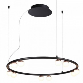 Подвесная люстра Favourite Knopp 4320-10P в Верхней Салде - verhnyaya-salda.mebel24.online | фото 2