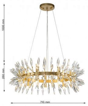 Подвесная люстра Favourite Rays 4058-14P в Верхней Салде - verhnyaya-salda.mebel24.online | фото 7