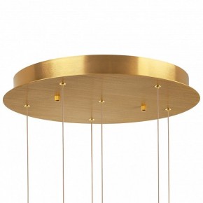 Подвесная люстра Lightstar Colore 805169 в Верхней Салде - verhnyaya-salda.mebel24.online | фото 6