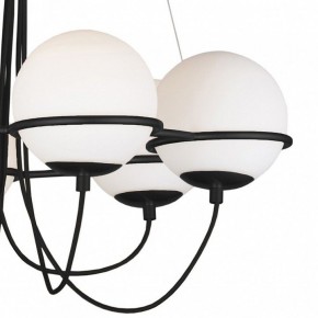 Подвесная люстра Lightstar Globo 803267 в Верхней Салде - verhnyaya-salda.mebel24.online | фото 5