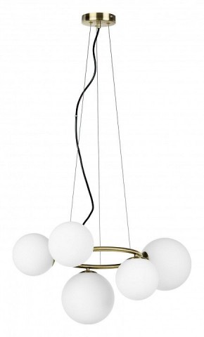 Подвесная люстра Lightstar Globo 815051 в Верхней Салде - verhnyaya-salda.mebel24.online | фото 2