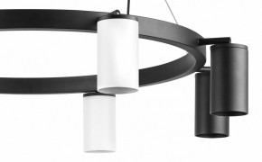 Подвесная люстра Lightstar Rullo LR018364374 в Верхней Салде - verhnyaya-salda.mebel24.online | фото 5
