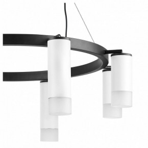 Подвесная люстра Lightstar Rullo LR0188643641 в Верхней Салде - verhnyaya-salda.mebel24.online | фото 5