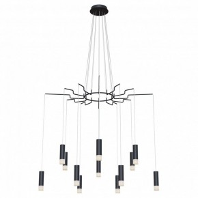Подвесная люстра Maytoni Davida MOD035PL-12B в Верхней Салде - verhnyaya-salda.mebel24.online | фото 2