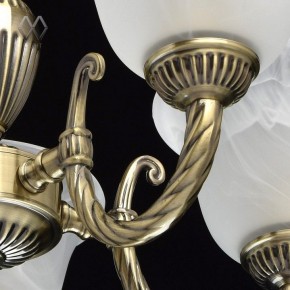 Подвесная люстра MW-Light Ариадна 20 450016305 в Верхней Салде - verhnyaya-salda.mebel24.online | фото 6
