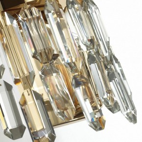 Подвесная люстра Odeon Light Dakisa 4986/12 в Верхней Салде - verhnyaya-salda.mebel24.online | фото 8