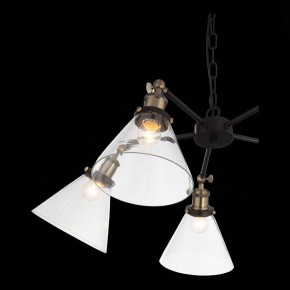 Подвесная люстра ST-Luce Evoluto SL237.413.05 в Верхней Салде - verhnyaya-salda.mebel24.online | фото 7