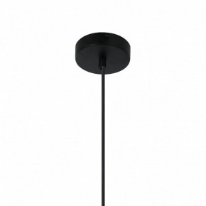 Подвесной светильник Favourite Sonnenblume 2356-2P в Верхней Салде - verhnyaya-salda.mebel24.online | фото 4