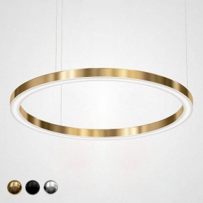 Подвесной светильник Imperiumloft Light Ring Horizontal 40.1454-120 в Верхней Салде - verhnyaya-salda.mebel24.online | фото