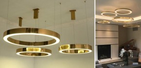 Подвесной светильник Imperiumloft Light Ring Horizontal 40.1454-80 в Верхней Салде - verhnyaya-salda.mebel24.online | фото 2