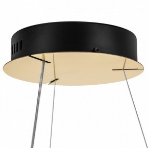 Подвесной светильник Lightstar Helio 703163 в Верхней Салде - verhnyaya-salda.mebel24.online | фото 7