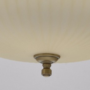 Подвесной светильник MW-Light Афродита 1 317010504 в Верхней Салде - verhnyaya-salda.mebel24.online | фото 9
