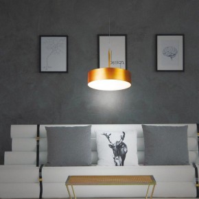 Подвесной светильник Novotech Prometa 358766 в Верхней Салде - verhnyaya-salda.mebel24.online | фото 4
