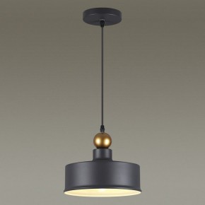 Подвесной светильник Odeon Light Bolli 4088/1 в Верхней Салде - verhnyaya-salda.mebel24.online | фото 4