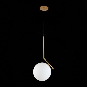 Подвесной светильник ST-Luce Codda SL1148.303.01 в Верхней Салде - verhnyaya-salda.mebel24.online | фото 6