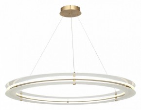 Подвесной светильник ST-Luce FAGY SL6245.213.01 в Верхней Салде - verhnyaya-salda.mebel24.online | фото 4