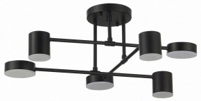 Потолочная люстра EVOLUCE Nobel SLE201042-06 в Верхней Салде - verhnyaya-salda.mebel24.online | фото 11