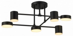 Потолочная люстра EVOLUCE Nobel SLE201042-06 в Верхней Салде - verhnyaya-salda.mebel24.online | фото 12
