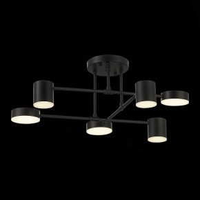 Потолочная люстра EVOLUCE Nobel SLE201042-06 в Верхней Салде - verhnyaya-salda.mebel24.online | фото 13