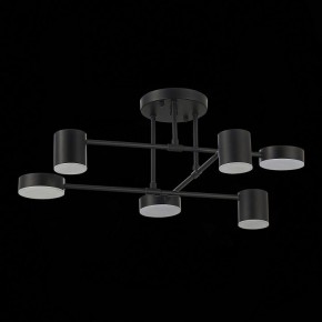 Потолочная люстра EVOLUCE Nobel SLE201042-06 в Верхней Салде - verhnyaya-salda.mebel24.online | фото 14
