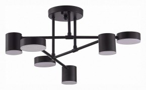 Потолочная люстра EVOLUCE Nobel SLE201042-06 в Верхней Салде - verhnyaya-salda.mebel24.online | фото 3