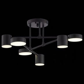 Потолочная люстра EVOLUCE Nobel SLE201042-06 в Верхней Салде - verhnyaya-salda.mebel24.online | фото 6