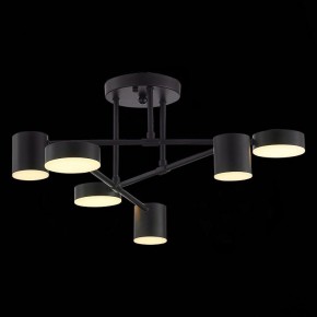 Потолочная люстра EVOLUCE Nobel SLE201042-06 в Верхней Салде - verhnyaya-salda.mebel24.online | фото 7