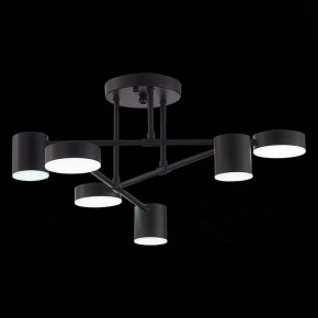 Потолочная люстра EVOLUCE Nobel SLE201042-06 в Верхней Салде - verhnyaya-salda.mebel24.online | фото 9
