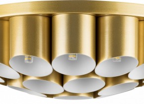 Потолочная люстра Lightstar Siena 720222 в Верхней Салде - verhnyaya-salda.mebel24.online | фото 3