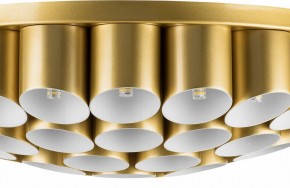 Потолочная люстра Lightstar Siena 720402 в Верхней Салде - verhnyaya-salda.mebel24.online | фото 3